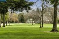 Additional image 41 of 1713 Geary Rd, Walnut Creek, CA, 94597