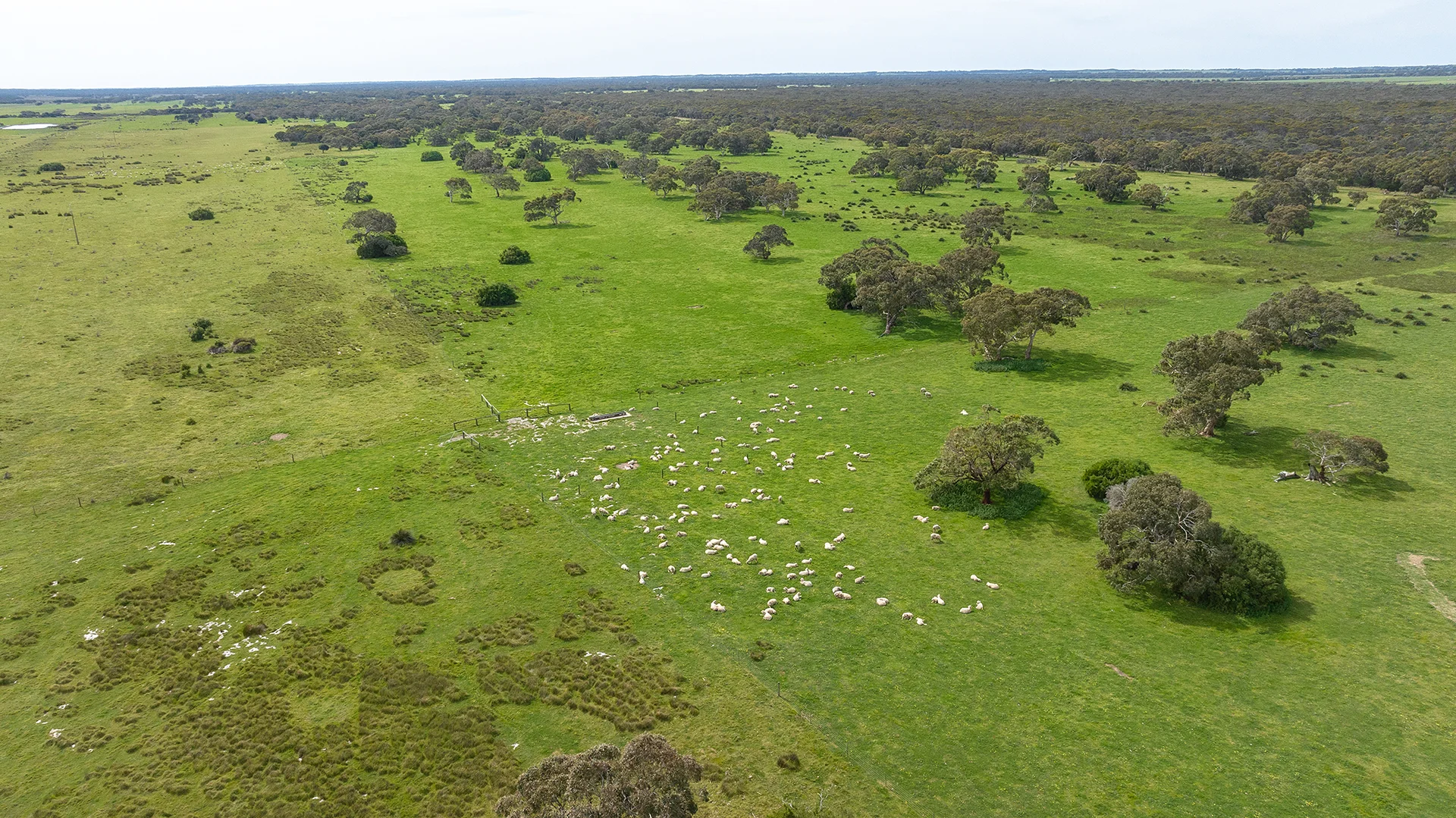 Additional image 26 of 18462 Princes Highway, Kingston Se SA 5275