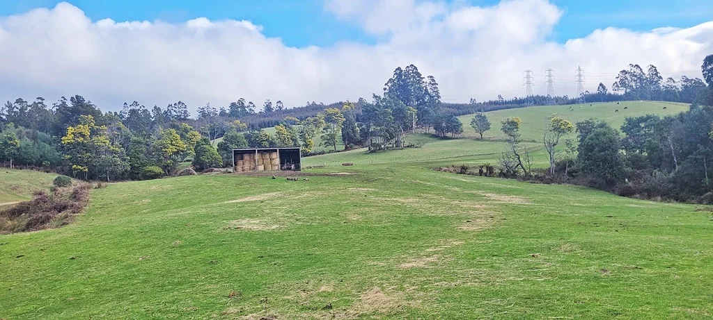 Additional image 12 of 148 Holmes Road, Roland TAS 7306