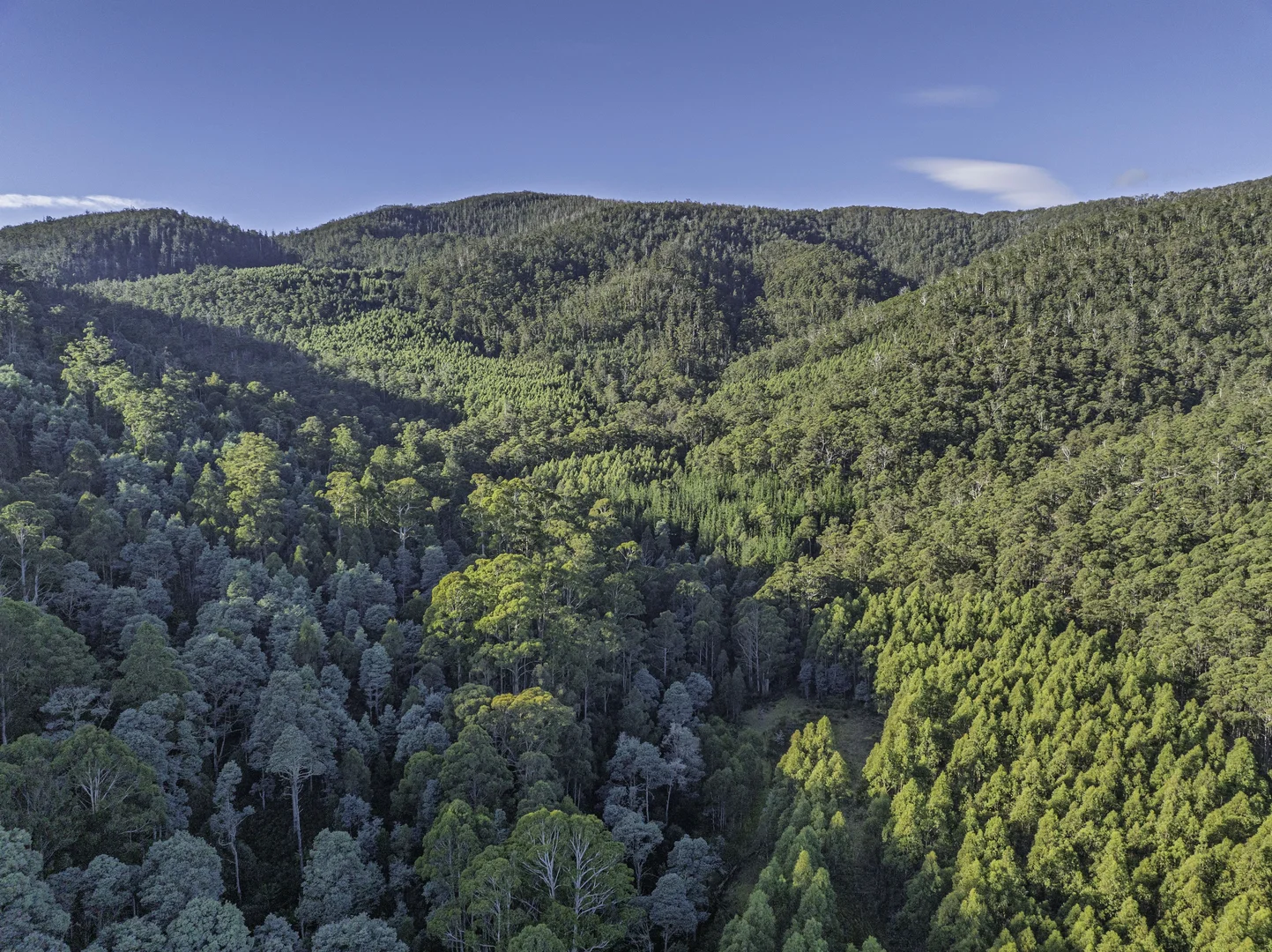 Additional image 8 of Judbury TAS 7109