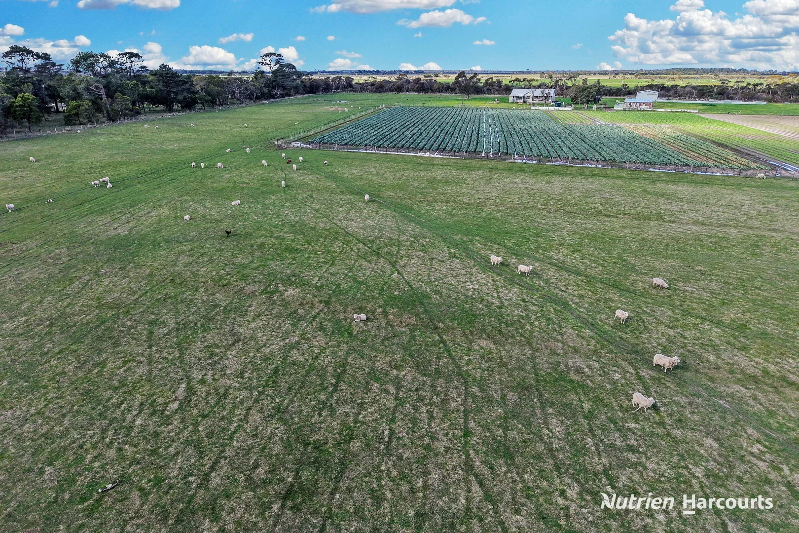 Additional image 8 of 240 Yarram Port Albert Road, Alberton VIC 3971