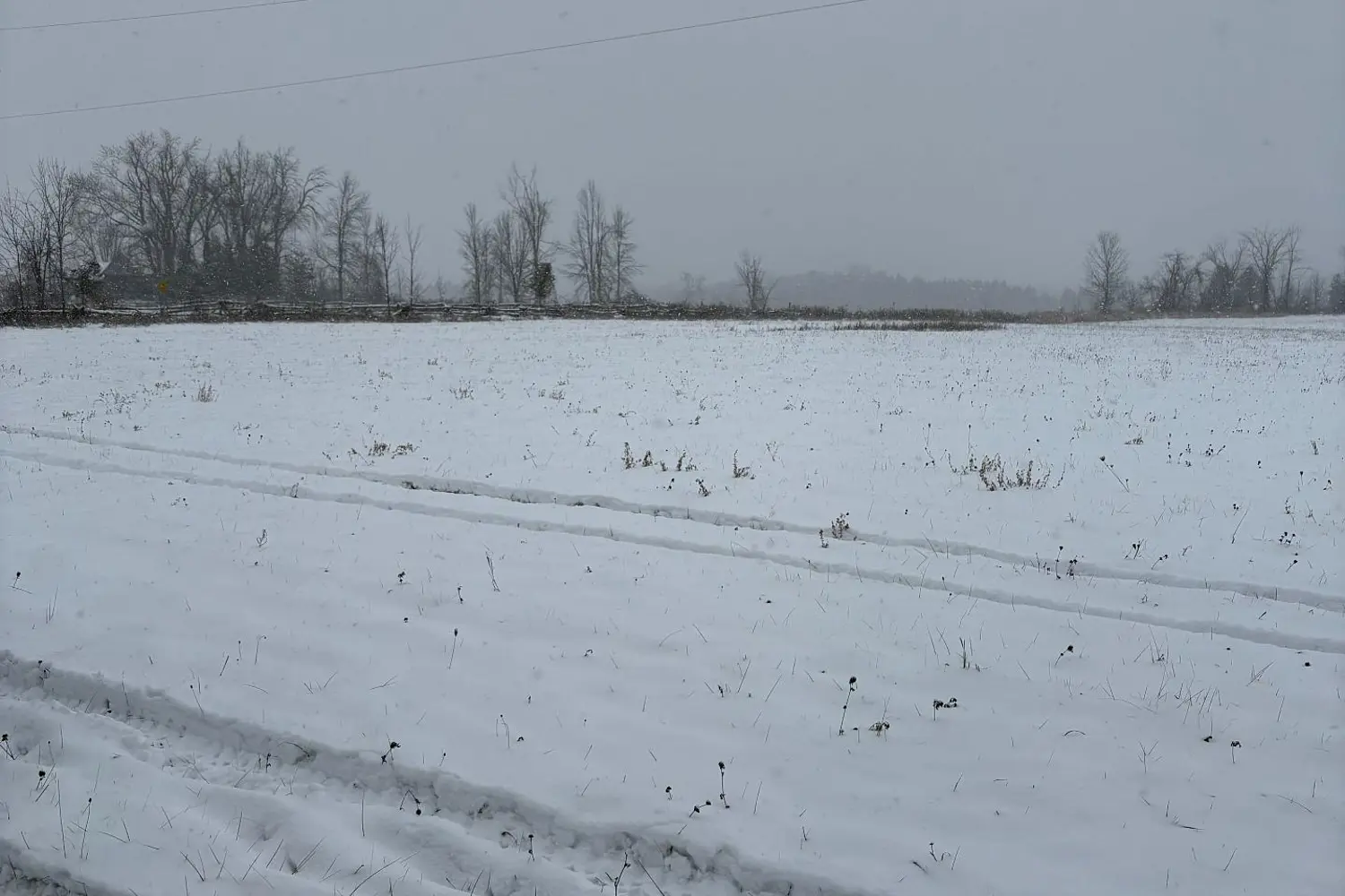 Additional image 12 of 0 Cooney Island Road