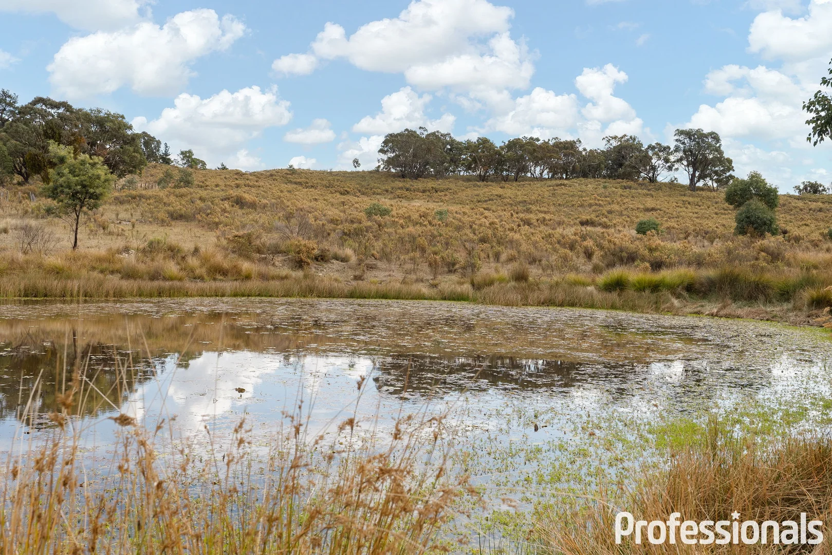 Additional image 10 of 2042 Hill End Road, Sallys Flat NSW 2850