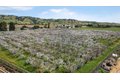 Additional image 93 of 3465 Susie Ln, Gilroy, CA, 95020