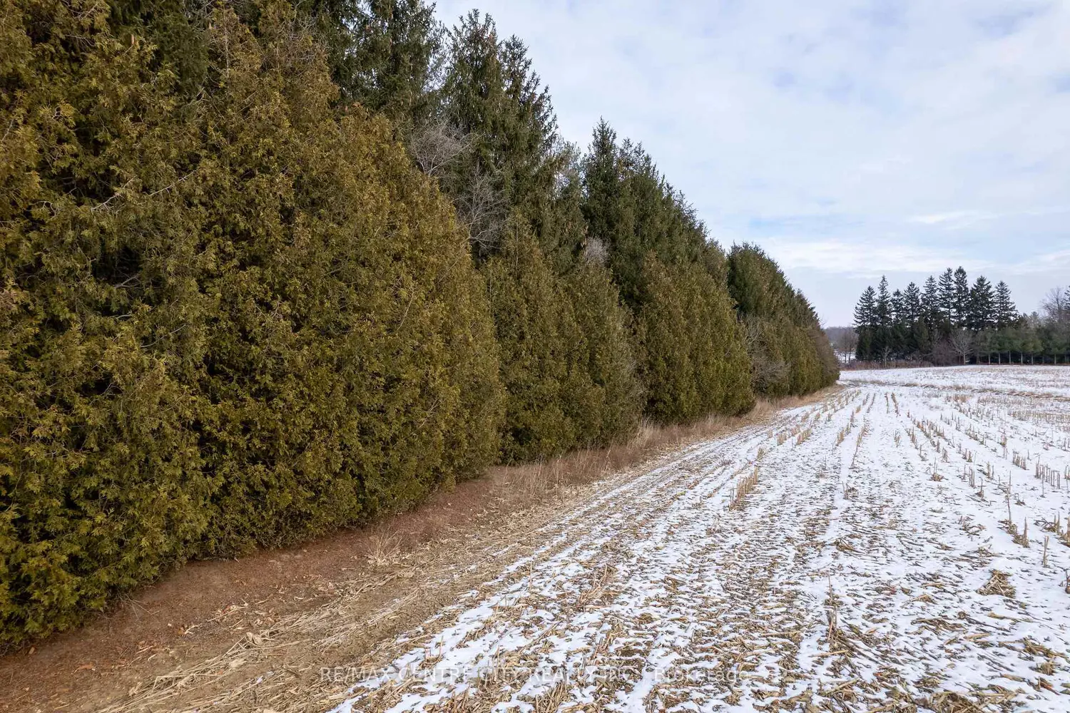 Additional image 7 of Pt Lt 24 Concession 5