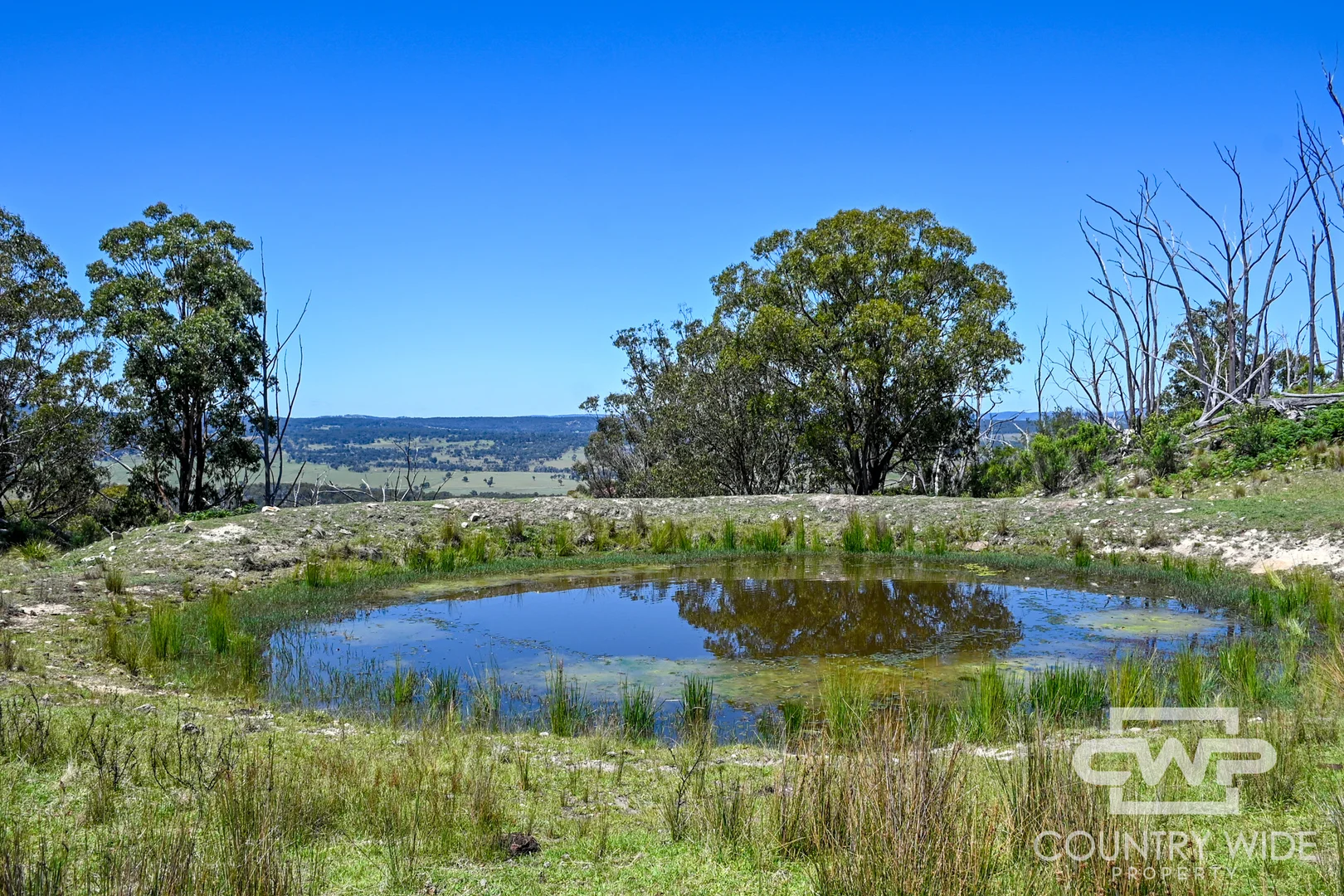 Additional image 4 of 11, - Ten Mile Rd, Deepwater NSW 2371