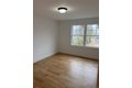 Additional image 41 of 4 Lotto Court Rd, Lake Grove, NY, 11755