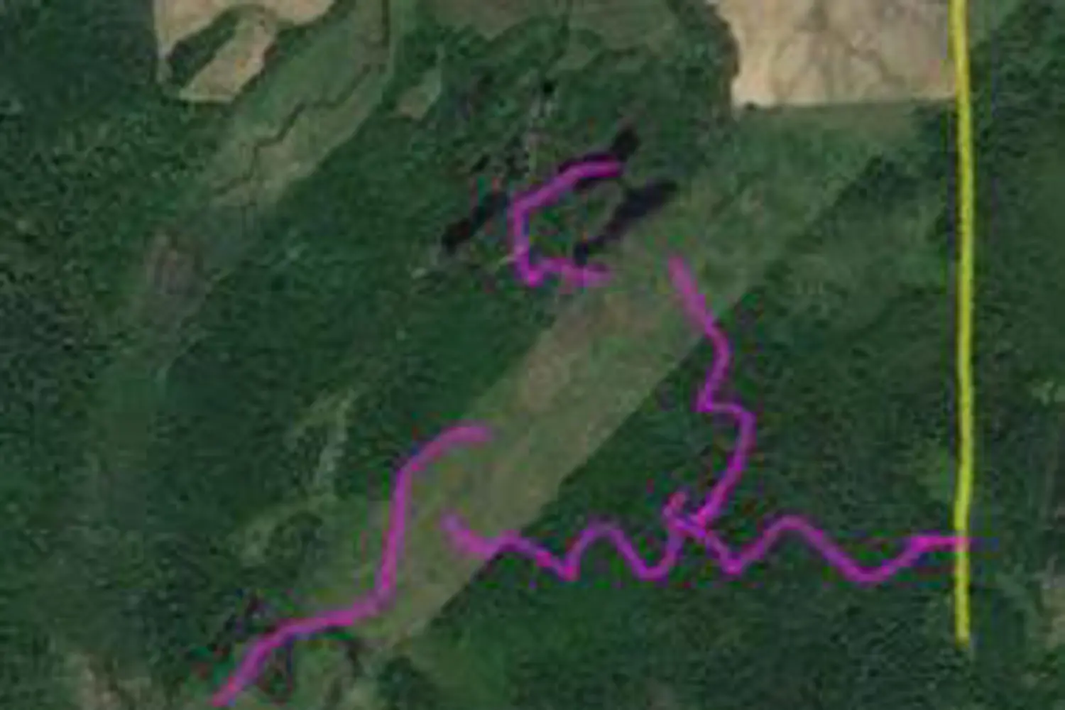 Additional image 6 of 53 Scarlett Line