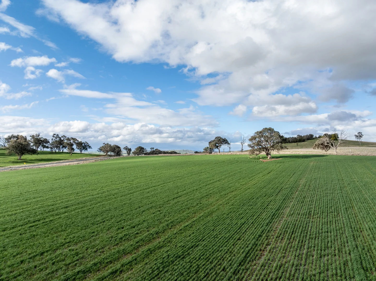 Additional image 21 of 'Darmody's', 969 Brial Rd, Boorowa NSW 2586