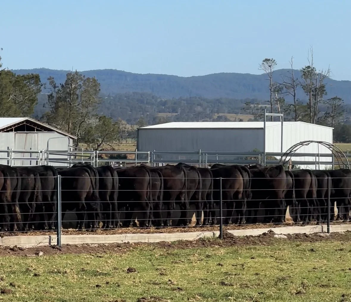 Additional image 17 of 119 Duck Creek Road, Old Bonalbo NSW 2469