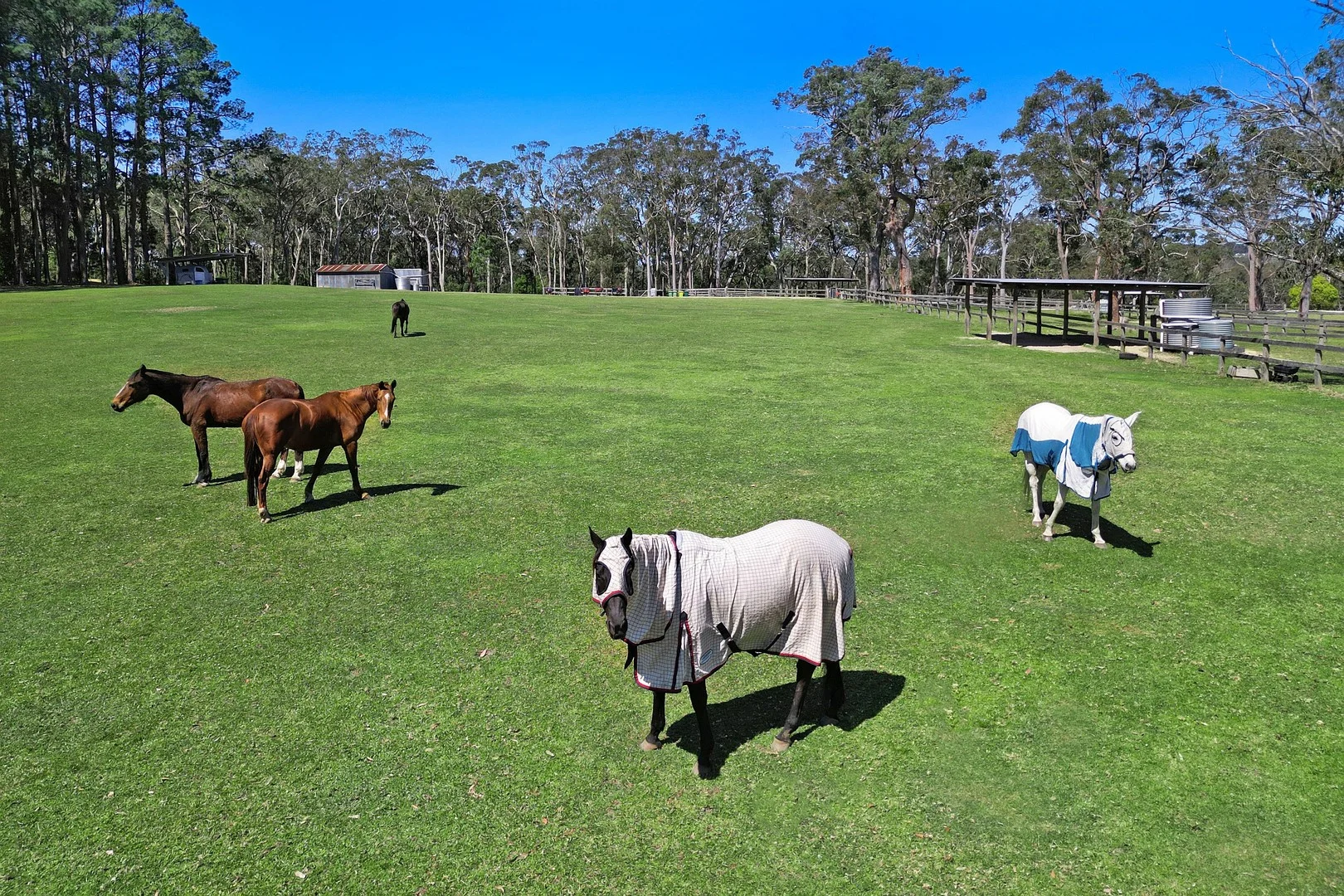 Additional image 2 of 161 Grants Road, Somersby NSW 2250