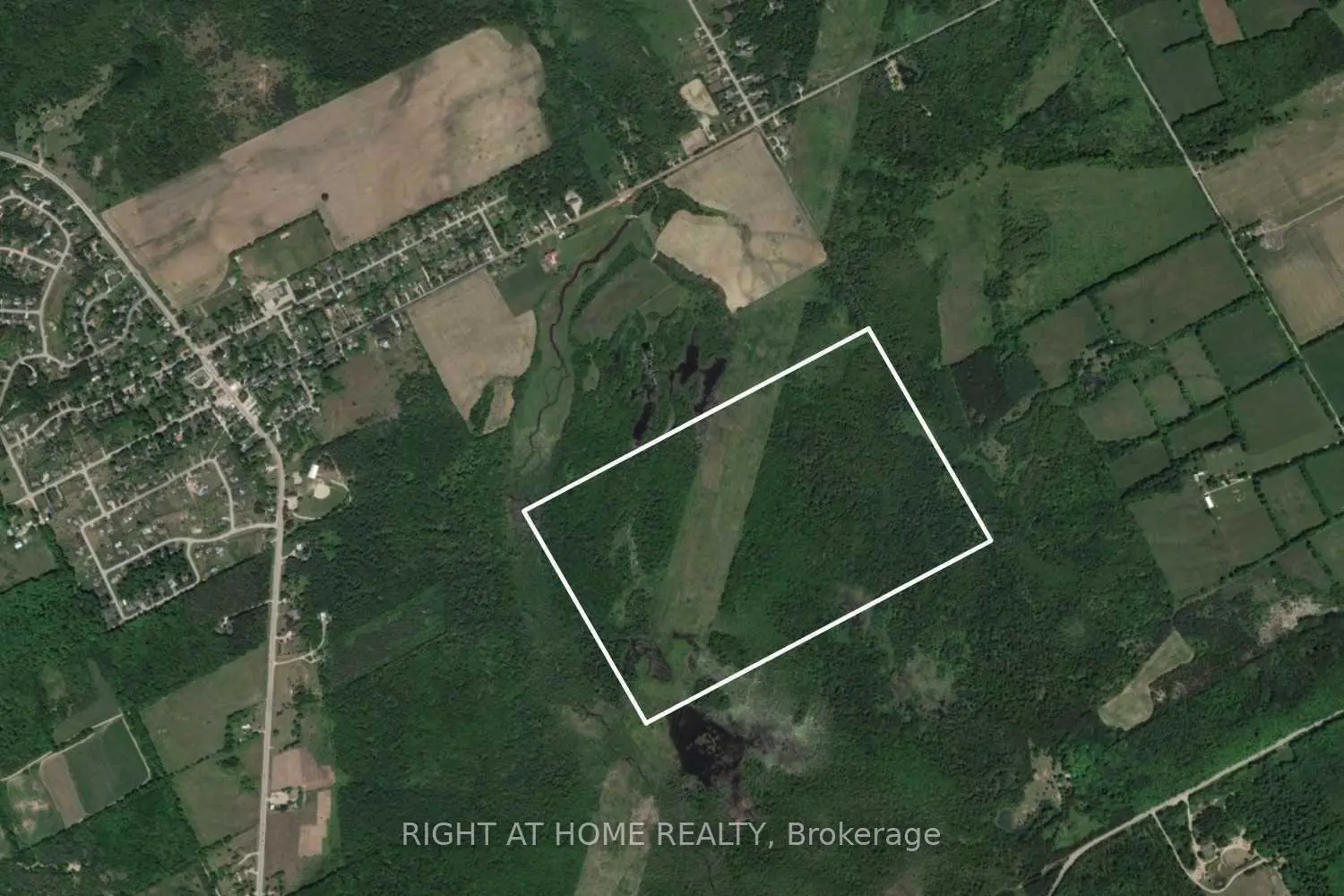 Additional image 10 of 53 Scarlett Line