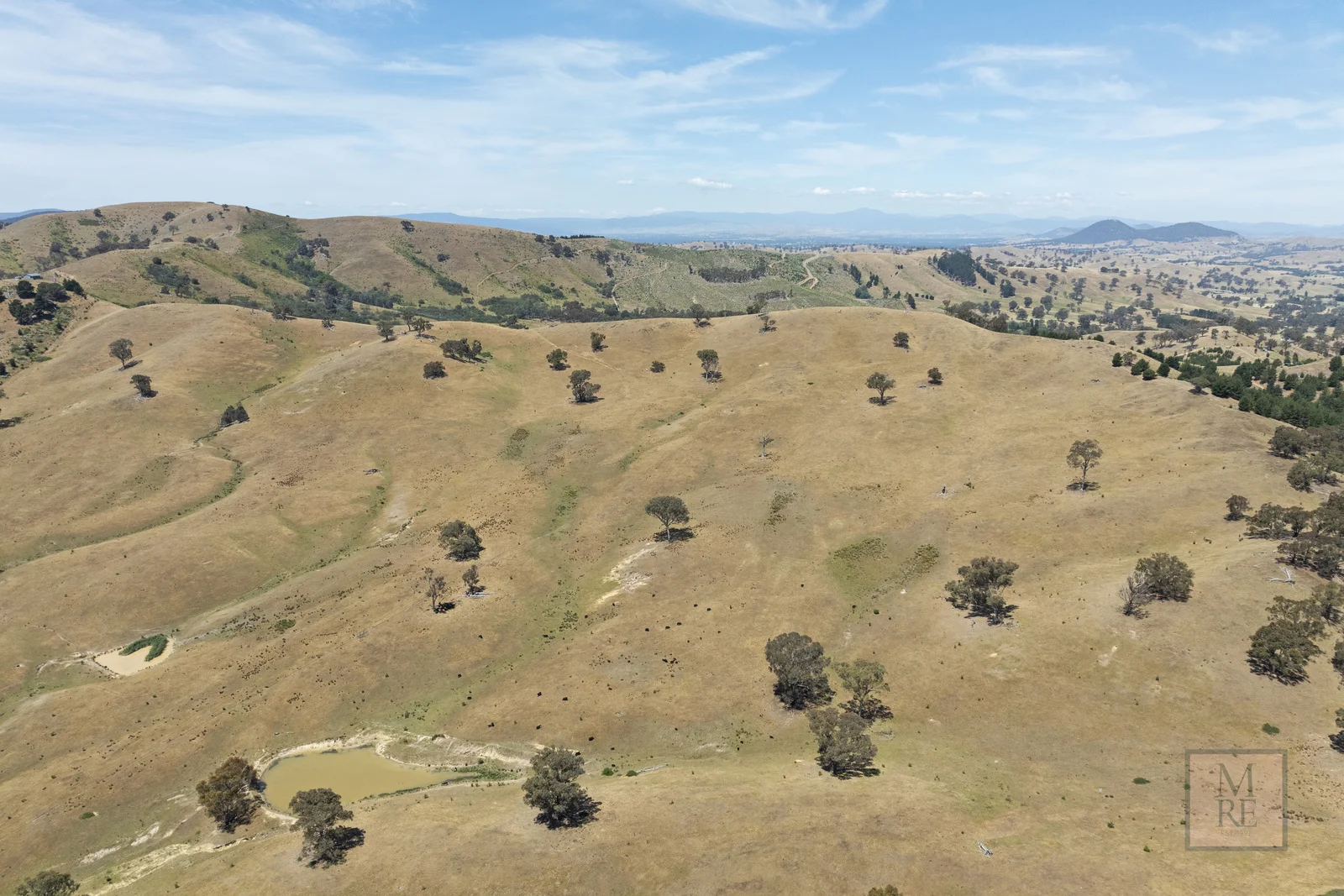 Additional image 15 of 'Dalhaven', 98 Hells Hole Creek Road, Bonnie Doon VIC 3720