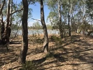 Additional image 7 of Lot 3 Derby Road, Maryborough VIC 3465