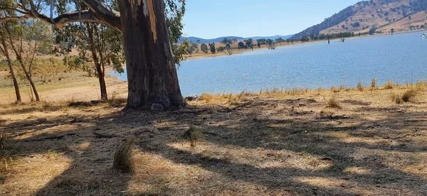 Additional image 16 of 8010 River Road, Talmalmo NSW 2640