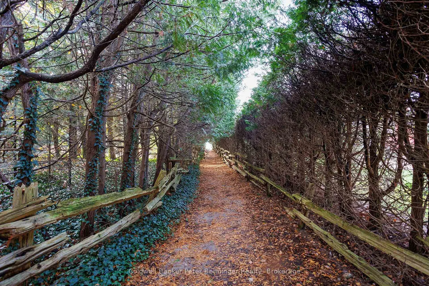 Additional image 9 of Lt 17 Pl 594 Courtney Court