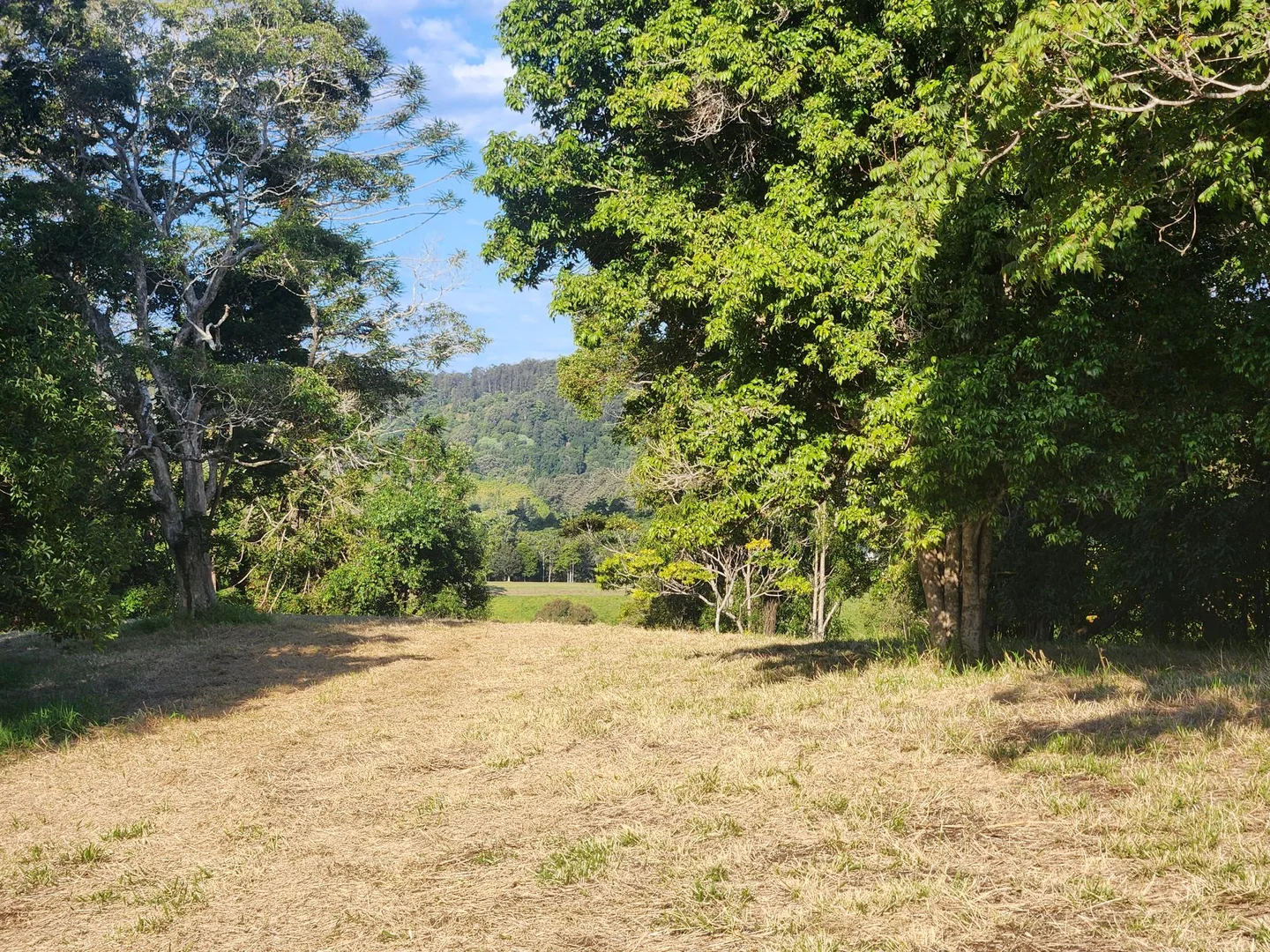 Additional image 13 of 30 Francis Road, Kin Kin QLD 4571