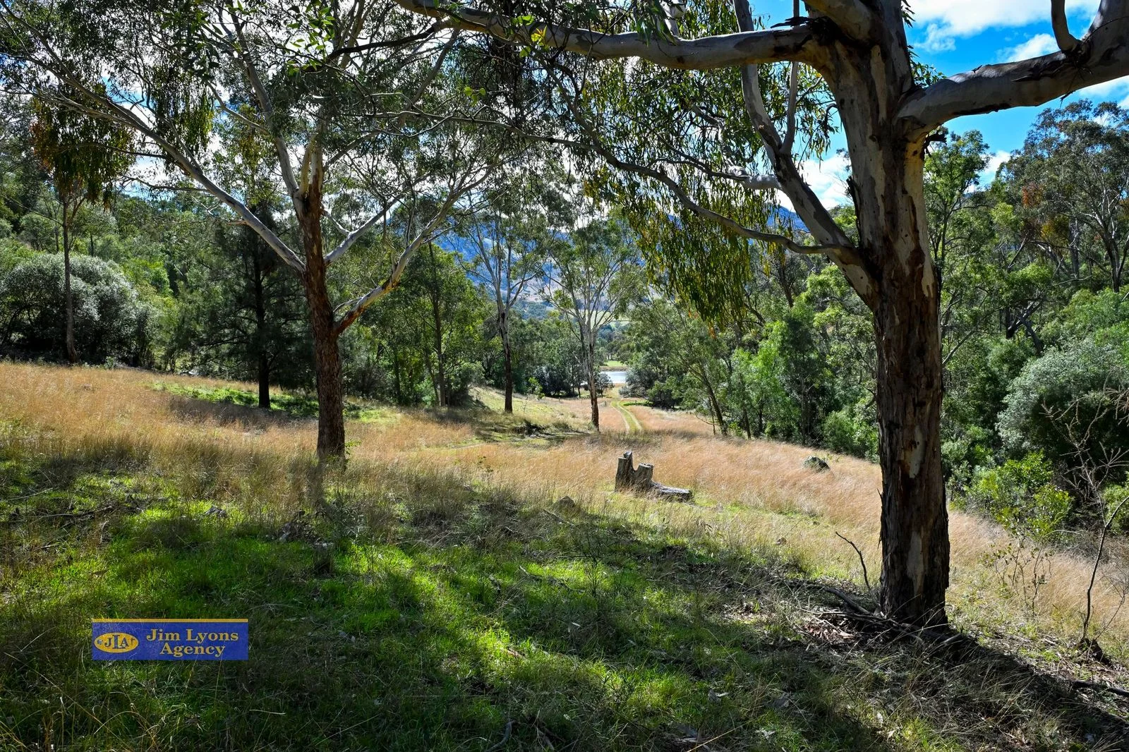 Additional image 13 of "St Kilda"/Lot 2 1001 Ogunbil Road, Dungowan NSW 2340