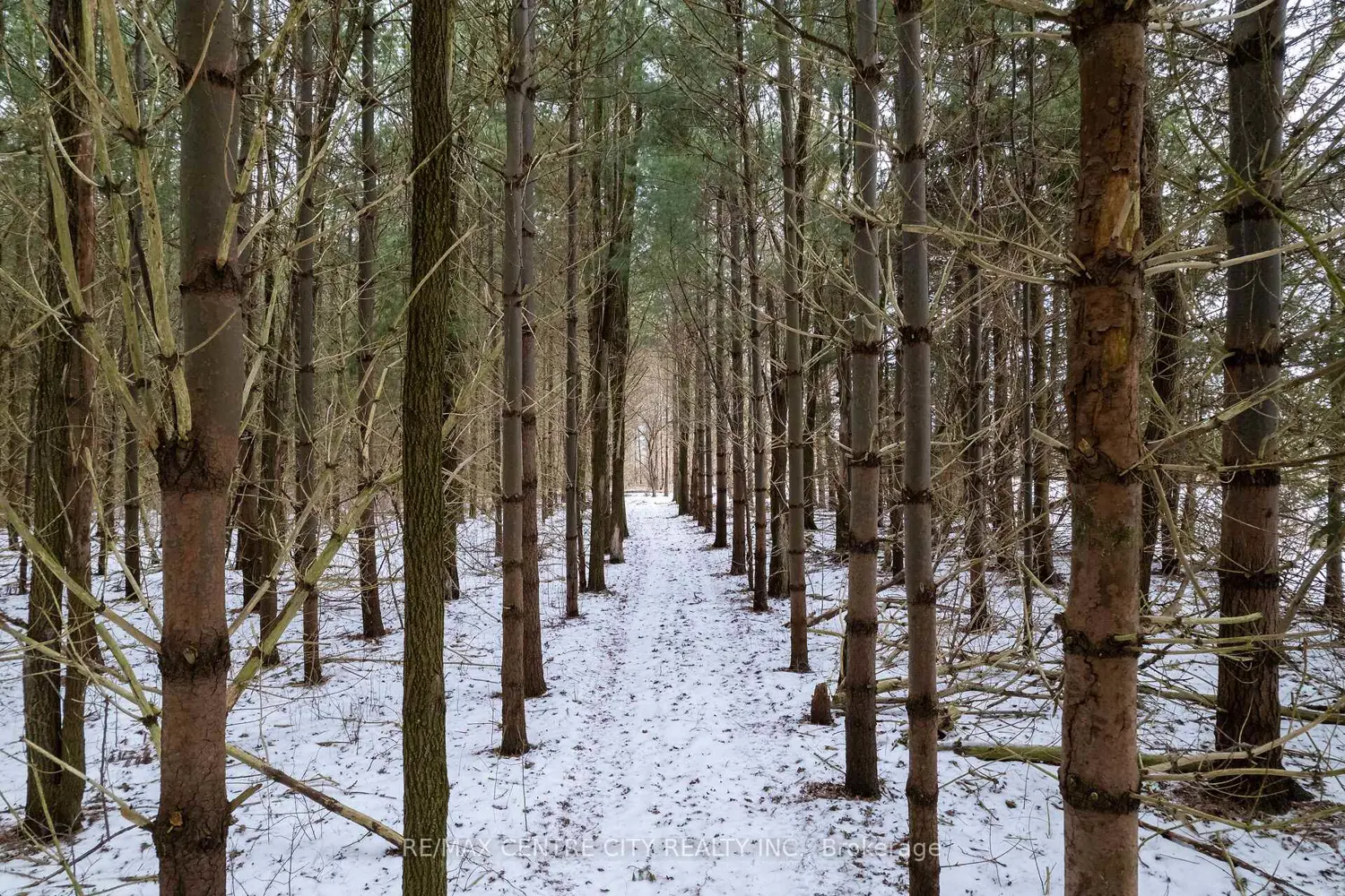 Additional image 12 of Pt Lt 24 Concession 5