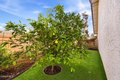 Additional image 35 of 3883 Calle Buena Vista, Newbury Park, CA, 91320