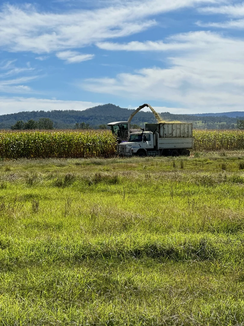 Additional image 19 of 119 Duck Creek Road, Old Bonalbo NSW 2469