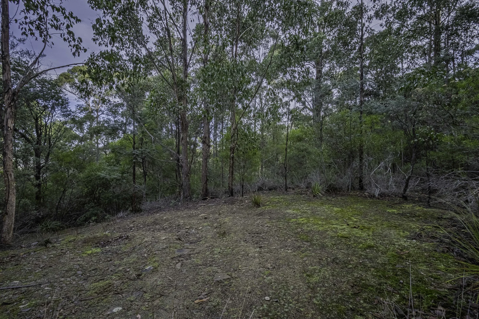 Additional image 9 of Judbury TAS 7109