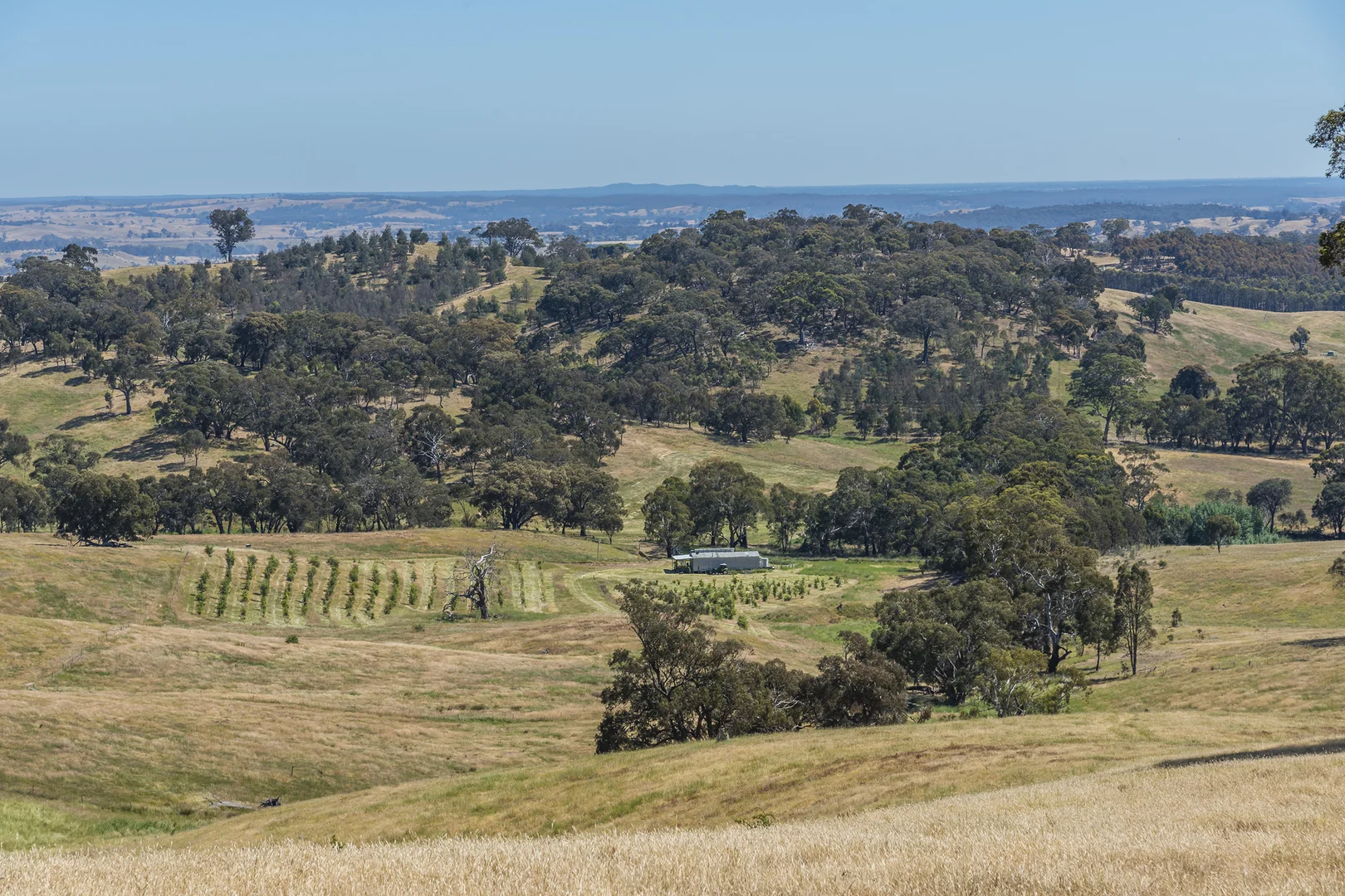 Additional image 3 of 679 Dallistons Road, Barfold VIC 3444