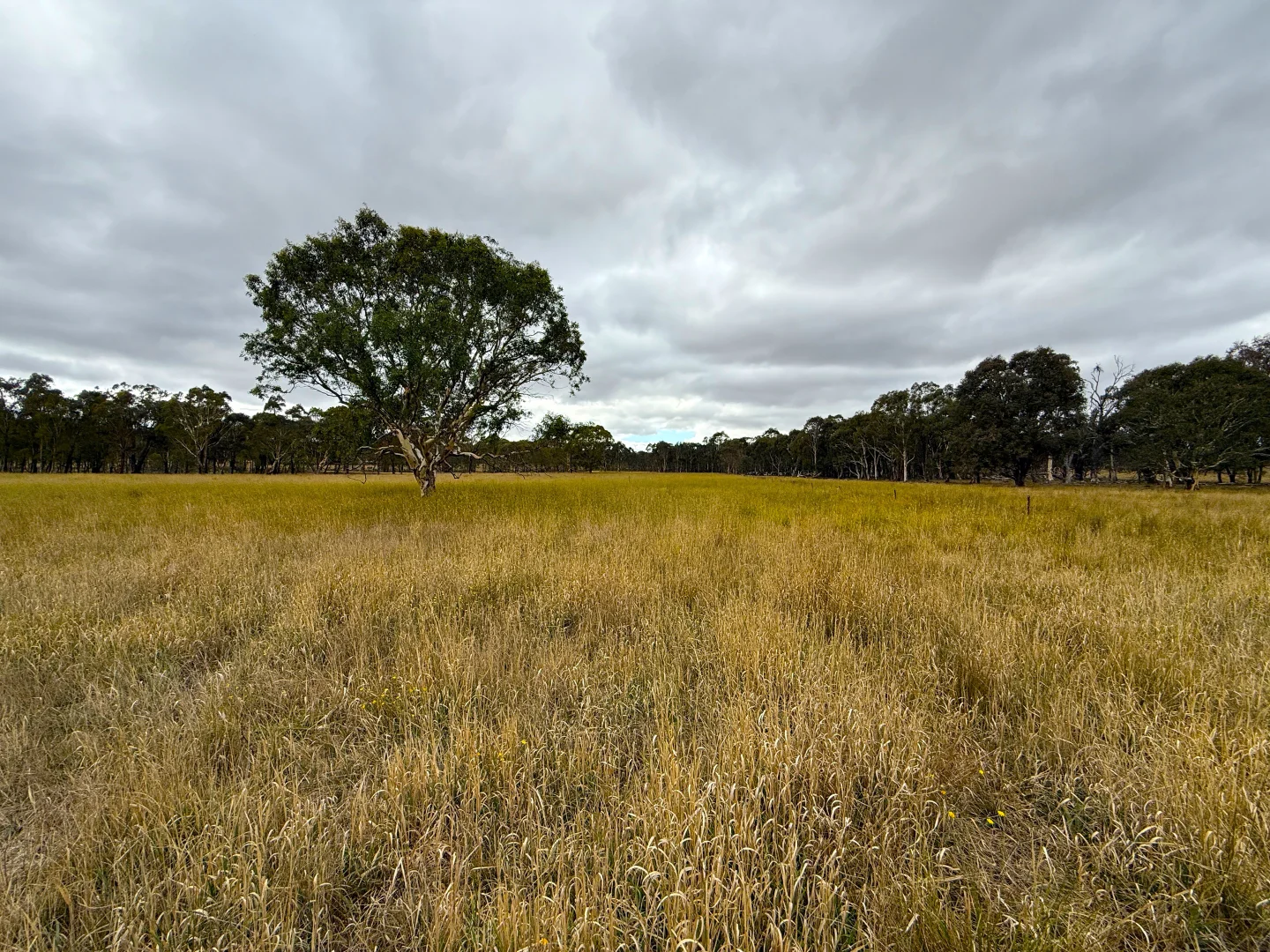 Additional image 4 of 1 Little Plains Road, Blakney Creek NSW 2581