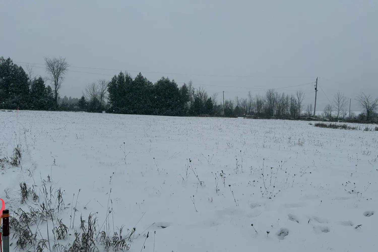 Additional image 4 of 0 Cooney Island Road