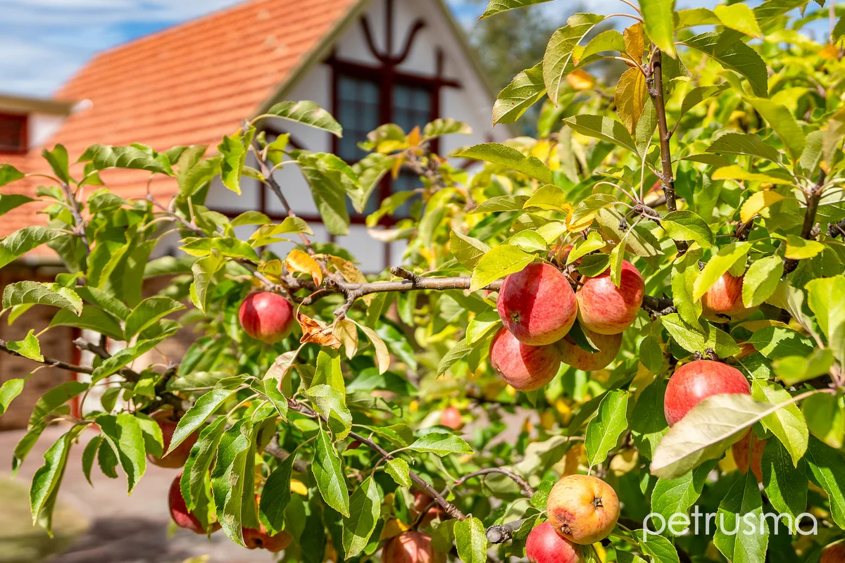 Additional image 28 of 71 Diamond Drive, Blackmans Bay TAS 7052