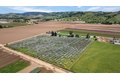 Additional image 94 of 3465 Susie Ln, Gilroy, CA, 95020