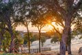 Additional image 66 of 4930 Greyson Creek Dr, El Dorado Hills, CA, 95762