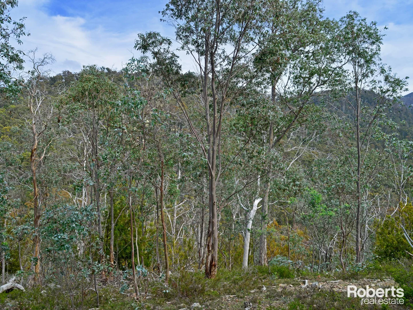 Additional image 13 of 869 Back River Road, Magra TAS 7140