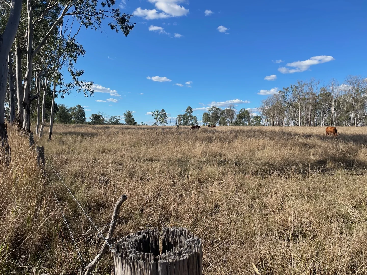 Additional image 4 of 8 Screening Plant Road, Cynthia QLD 4627