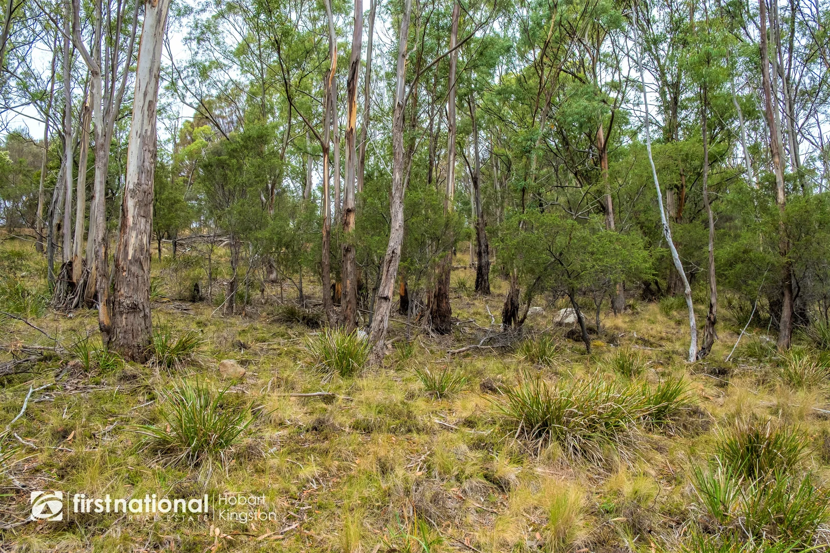 Additional image 21 of 110 Bruny Island Main Road, North Bruny TAS 7150