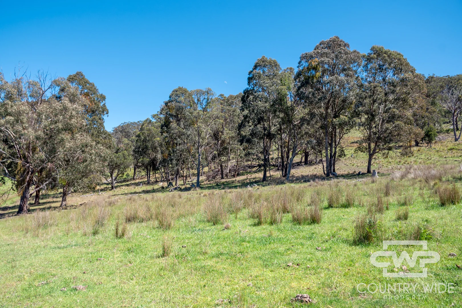 Additional image 10 of 11, - Ten Mile Rd, Deepwater NSW 2371