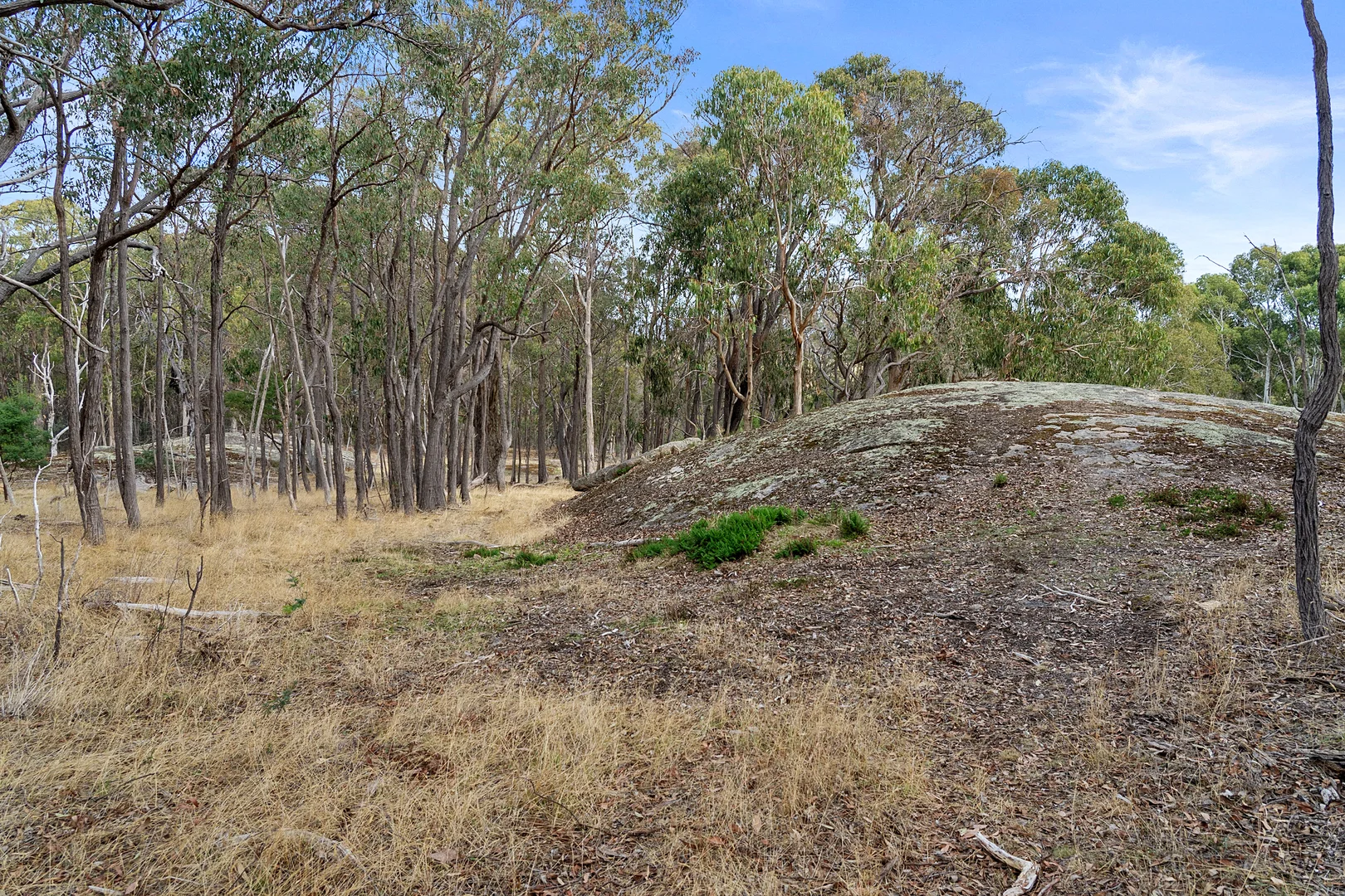 Additional image 7 of 215 Ridge Road, Gooram VIC 3666