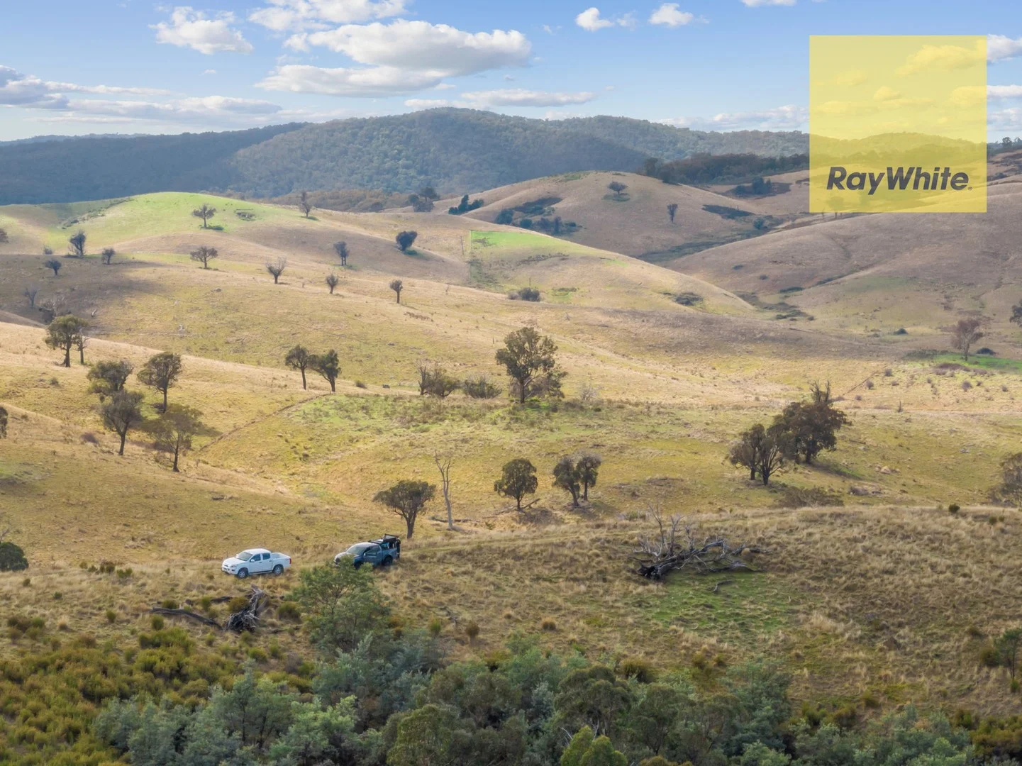 1013 Bigga Road, Crooked Corner NSW 2583