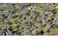 Additional image 53 of 29029 Sequoia Ct, Coarsegold, CA, 93614