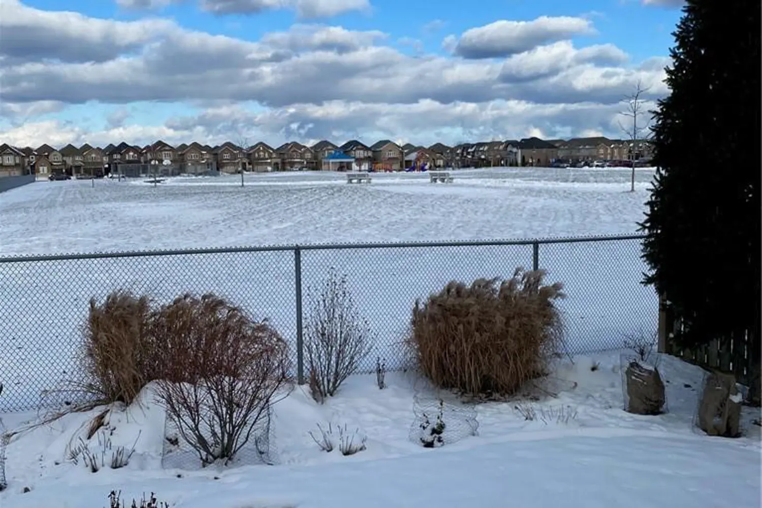 Additional image 17 of 39 Showcase Drive