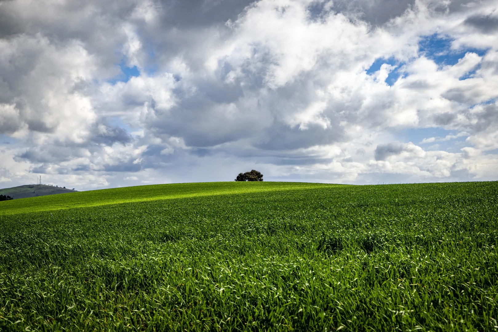 Additional image 4 of 'Darmody's', 969 Brial Rd, Boorowa NSW 2586