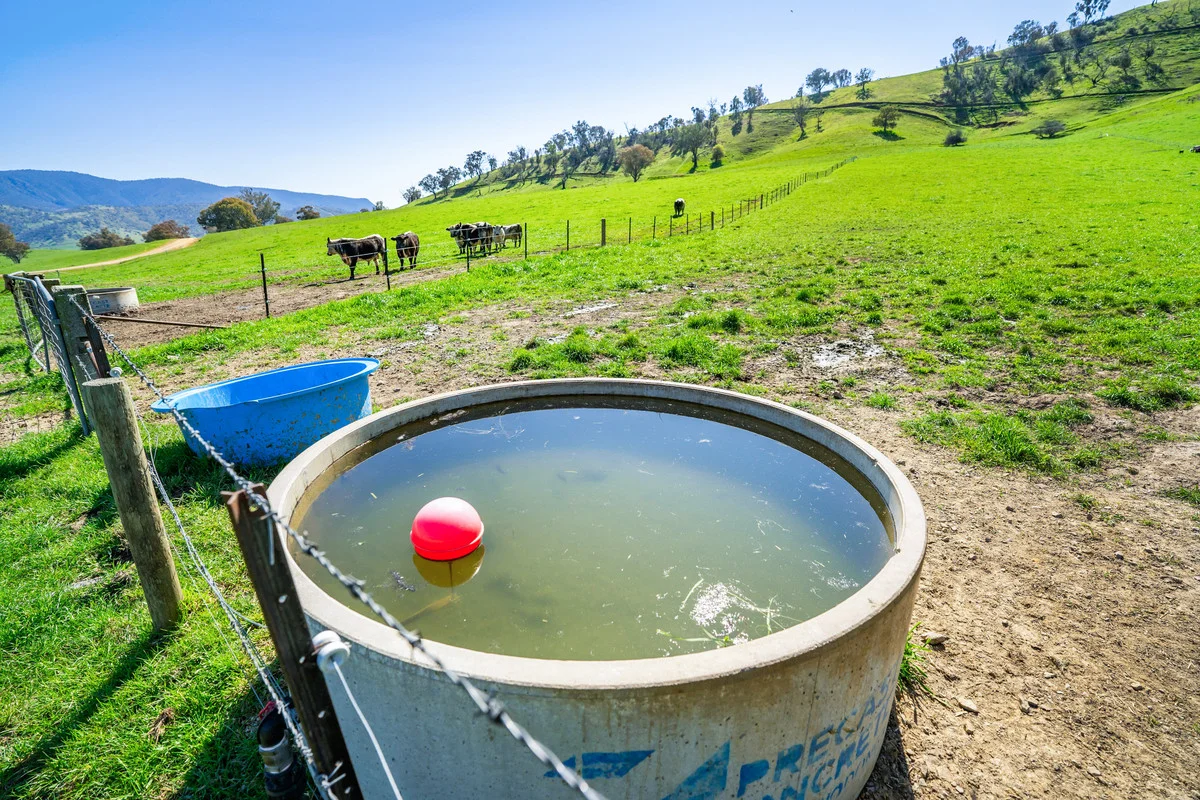 Additional image 23 of 12 Evans Road, Cudgewa VIC 3705