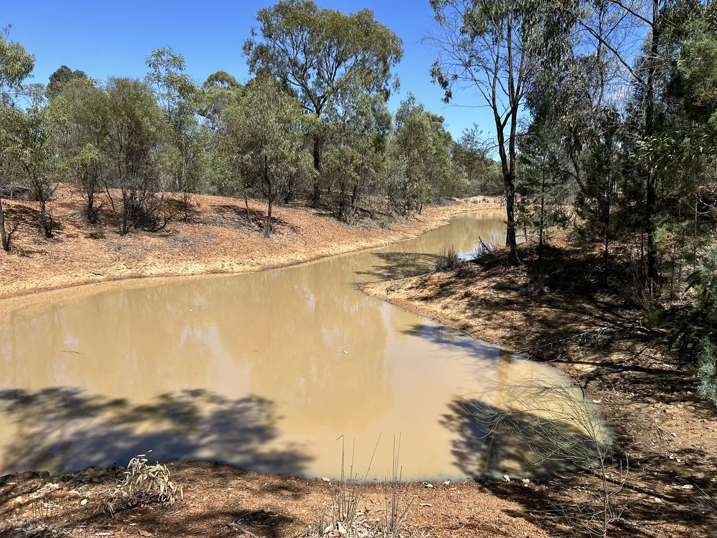 Additional image 13 of 261 Machaness Road, Tara QLD 4421