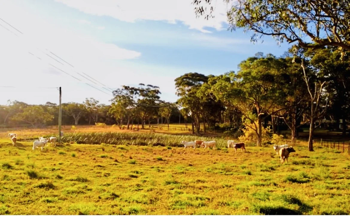 Additional image 12 of 63 Ghilkes Road, Somersby NSW 2250