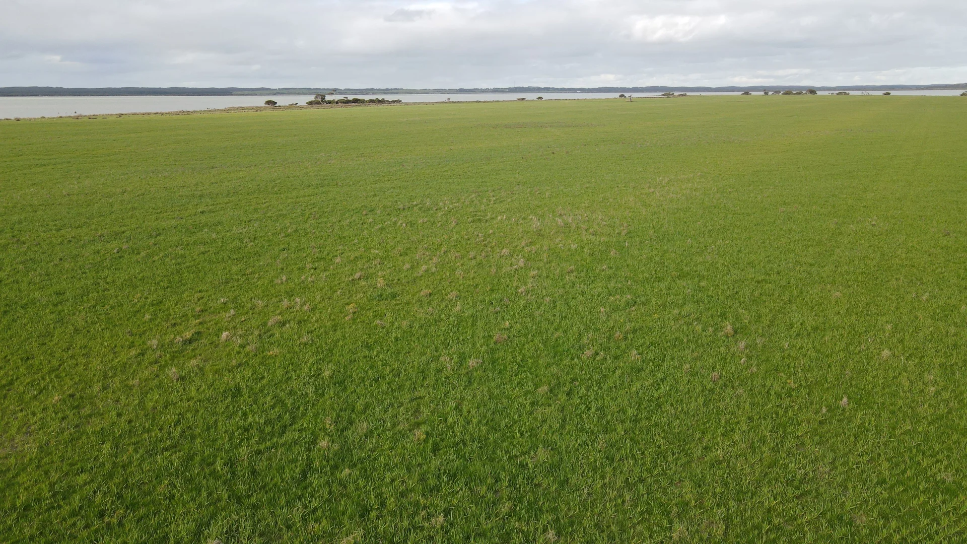 Additional image 3 of 703 Bog Lane, Nora Creina SA 5276