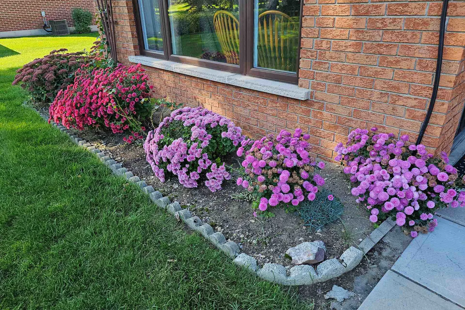 Additional image 19 of 55 Penetangore Row