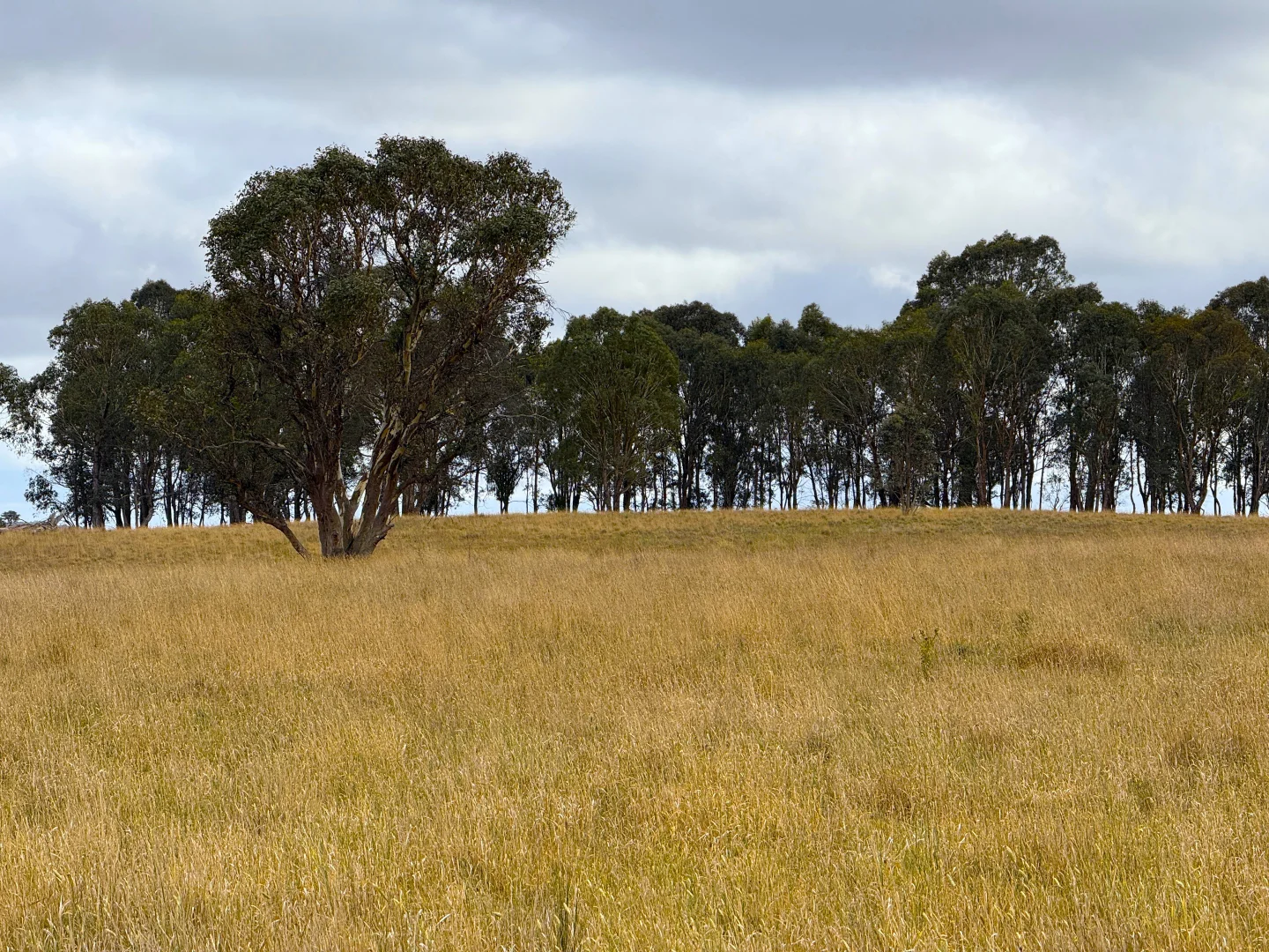 Additional image 5 of 1 Little Plains Road, Blakney Creek NSW 2581