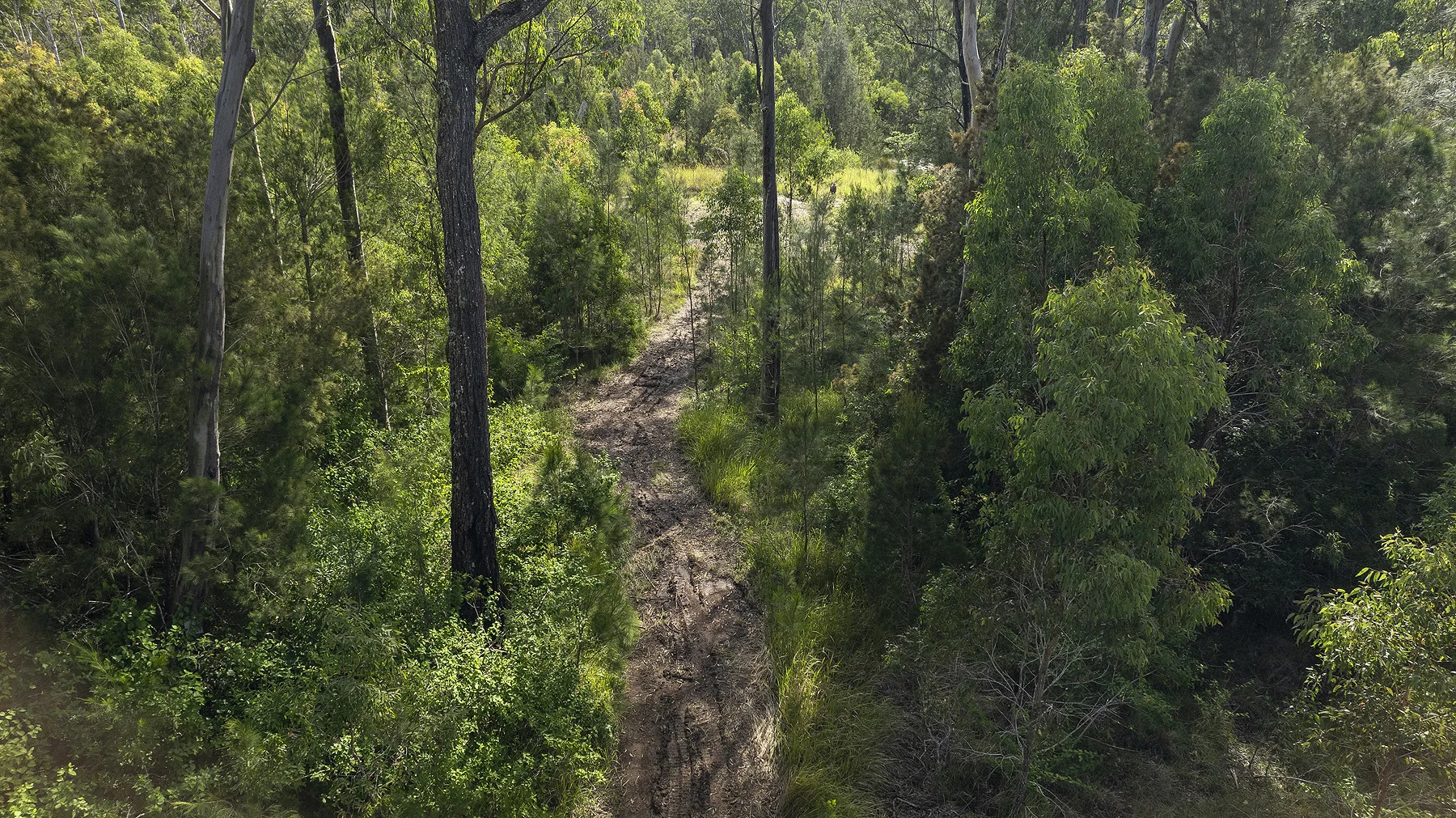 Additional image 14 of 538 Locketts Crossing Rd, Coolongolook NSW 2423