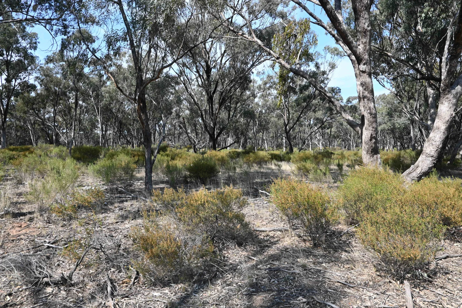 Additional image 12 of 17, A KURTING KINGOWER ROAD, Kingower VIC 3517