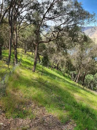 Additional image 15 of 8010 River Road, Talmalmo NSW 2640